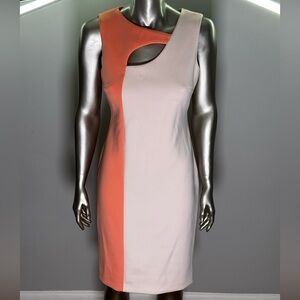 Calvin Klein Pink/Coral Assymetrical Colorblock Dress Sz 6
